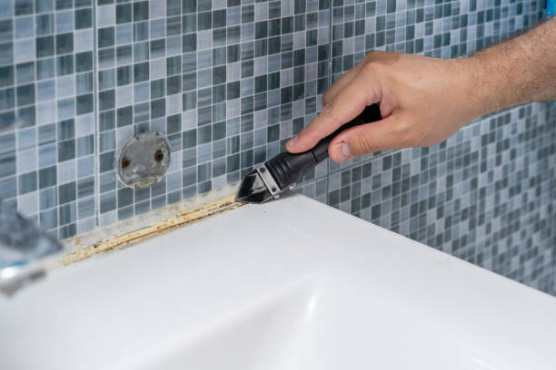 Best Local Mold Removal Service  in East Riverdale, MD